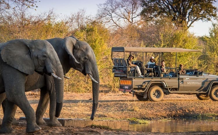 Anantara Stanley & Livingstone Enhances Safari Offering with New Pool Suites and Spa Gazebo